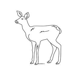 Doe (Animals) coloring page #1143 to print and color