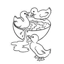 Goose (Animals) coloring page #11713 to print and color