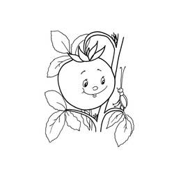 Tomato - Free printable coloring pages