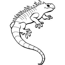 Dibujo Iguana (Animales) #188792 para imprimir y colorear