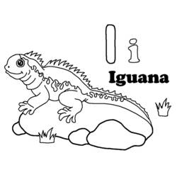 Iguana - Dibujos para colorear gratis