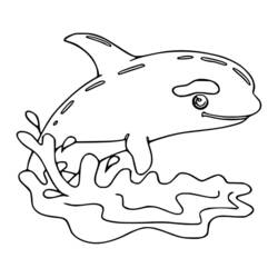 Dibujo Orca (Animales) #213468 para imprimir y colorear