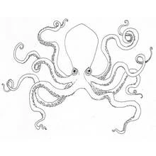Pulpo - Dibujos para colorear gratis