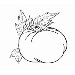 Dibujo Tomate (Comida y Nutrición) #195368 para imprimir y colorear