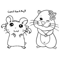 ハムスター (動物)ぬりえ #8025 印刷して色を塗る