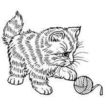 子猫 - 無料の印刷用ぬりえ
