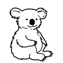 コアラ (動物)ぬりえ #9301 印刷して色を塗る