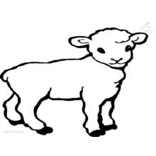 子羊 (動物)ぬりえ #177 印刷して色を塗る