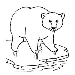 ホッキョクグマ (動物)ぬりえ #201228 印刷して色を塗る