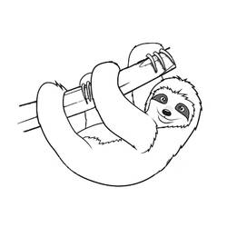 ナマケモノ - 無料の印刷用ぬりえ