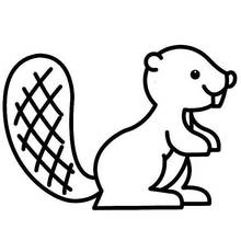 Castor - Desenhos para colorir gratuitos