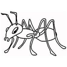 Formiga - Desenhos para colorir gratuitos