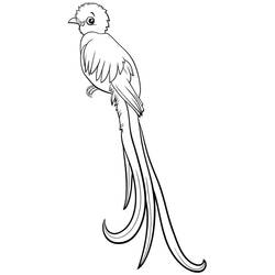 Desenho Quetzal (Animais) #180742 para imprimir e colorir