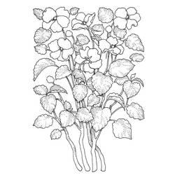 Coloring pages: Adult Flower - Free Printable Coloring Pages