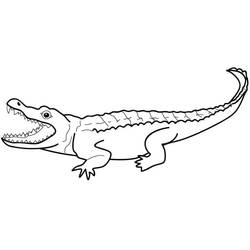 Coloring page: Alligator (Animals) #210197 - Free Printable Coloring Pages