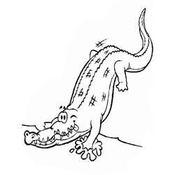 Coloring page: Alligator (Animals) #210199 - Free Printable Coloring Pages