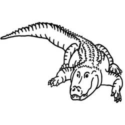 Coloring page: Alligator (Animals) #210203 - Free Printable Coloring Pages