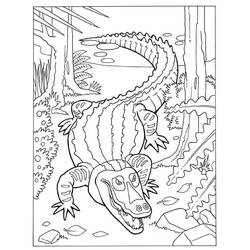Coloring page: Alligator (Animals) #210210 - Free Printable Coloring Pages