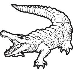 Coloring page: Alligator (Animals) #210213 - Free Printable Coloring Pages