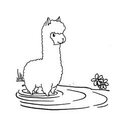 Coloring page: Alpaca (Animals) #217301 - Free Printable Coloring Pages