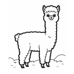 Coloring page: Alpaca (Animals) #217307 - Free Printable Coloring Pages
