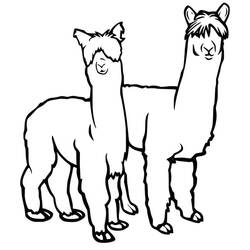 Coloring page: Alpaca (Animals) #217310 - Free Printable Coloring Pages