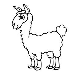 Coloring page: Alpaca (Animals) #217315 - Free Printable Coloring Pages