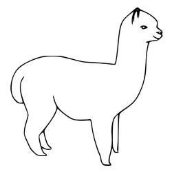 Coloring page: Alpaca (Animals) #217318 - Free Printable Coloring Pages