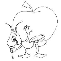 Coloring page: Ant (Animals) #6944 - Free Printable Coloring Pages