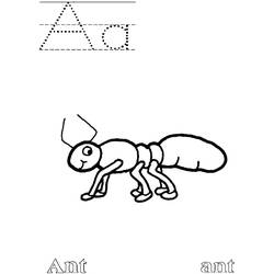 Coloring page: Ant (Animals) #6946 - Free Printable Coloring Pages