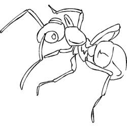 Coloring page: Ant (Animals) #6961 - Free Printable Coloring Pages