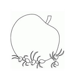 Coloring page: Ant (Animals) #6964 - Free Printable Coloring Pages