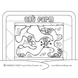 Coloring page: Ant (Animals) #7010 - Free Printable Coloring Pages