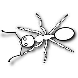Coloring page: Ant (Animals) #7017 - Free Printable Coloring Pages