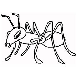 Coloring pages: Ant - Printable coloring pages
