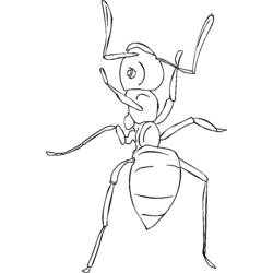 Coloring page: Ant (Animals) #7036 - Free Printable Coloring Pages