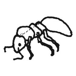 Coloring page: Ant (Animals) #7038 - Free Printable Coloring Pages