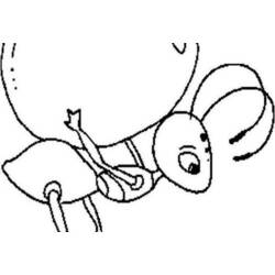 Coloring page: Ant (Animals) #7052 - Free Printable Coloring Pages