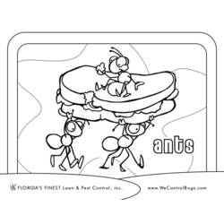 Coloring page: Ant (Animals) #7072 - Free Printable Coloring Pages