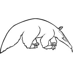 Anteater (Animals) coloring page #219646 to print and color