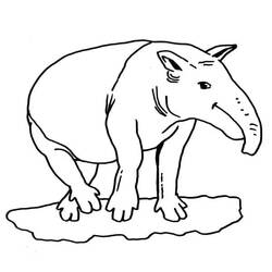 Anteater (Animals) coloring page #219647 to print and color