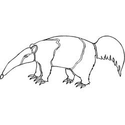 Anteater (Animals) coloring page #219649 to print and color