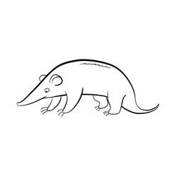 Anteater (Animals) coloring page #219654 to print and color