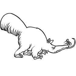 Anteater (Animals) coloring page #219655 to print and color
