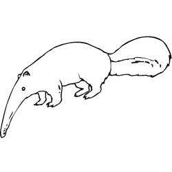 Anteater (Animals) coloring page #219656 to print and color