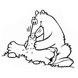 Anteater (Animals) coloring page #219657 to print and color