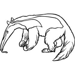 Anteater (Animals) coloring page #219659 to print and color