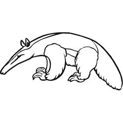 Anteater (Animals) coloring page #219661 to print and color