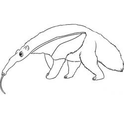 Anteater (Animals) coloring page #219663 to print and color