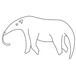 Anteater (Animals) coloring page #219664 to print and color